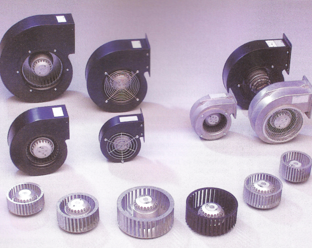 ECOFIT